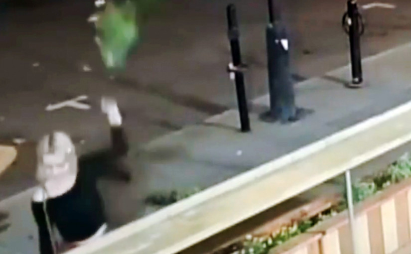 【視頻新聞】路人隨手破壞花糟 店主：下次用有刺植物取代