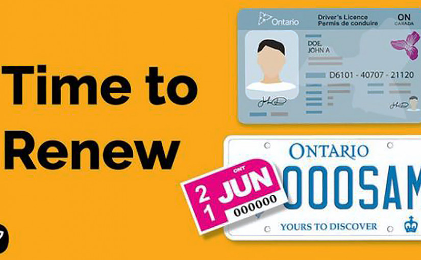 已過期車牌與醫療卡須明年2月底前更新