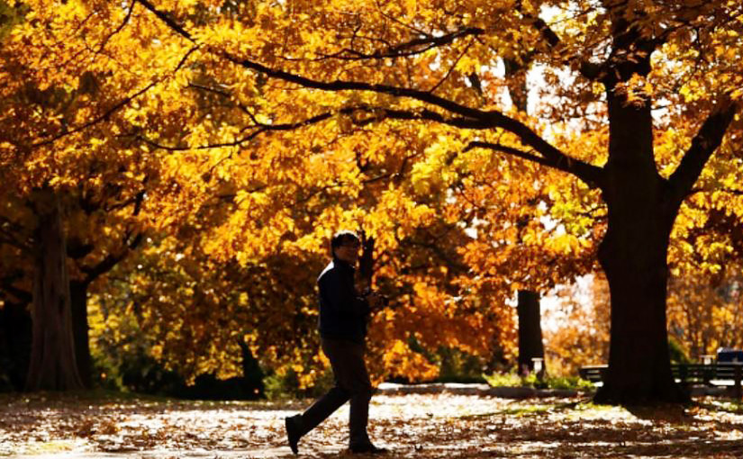 加國秋季氣溫預期較正常和暖