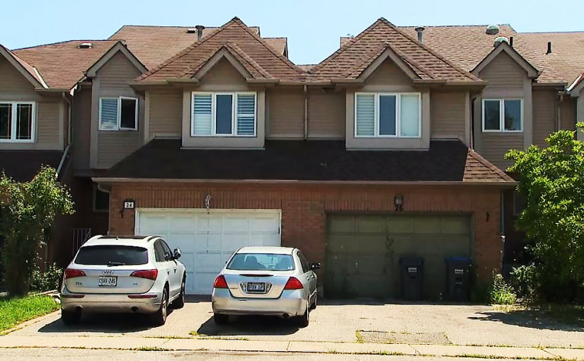 鎮屋單位空置3年成浣熊居所 雜草昆蟲嚴重影響鄰居生活