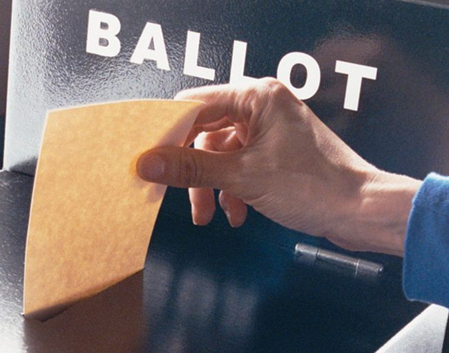 成千上萬海外加國公民已申請遠程投票