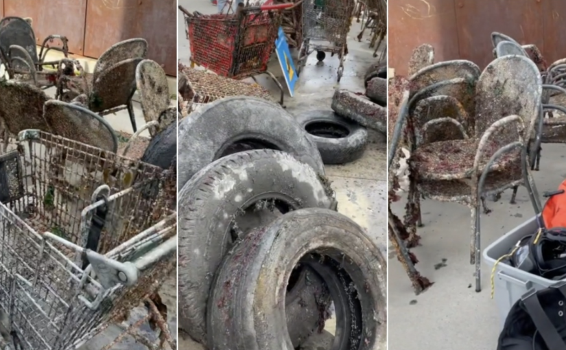 【視頻新聞】北溫朗斯代爾碼頭水域「垃圾成堆」  椅子、輪胎、購物車樣樣有