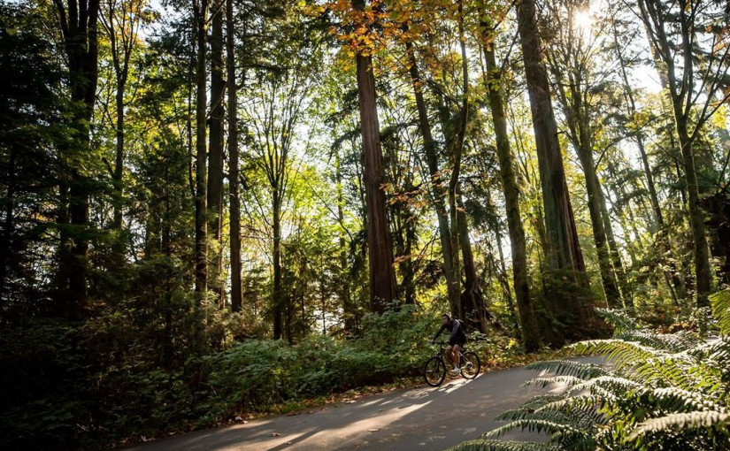溫市史園再有郊狼出沒  咬傷2兒童1大人