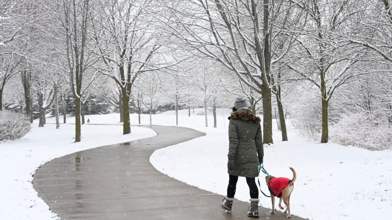 冬天逛公園內急怎麼辦？多倫多市府出手幫忙