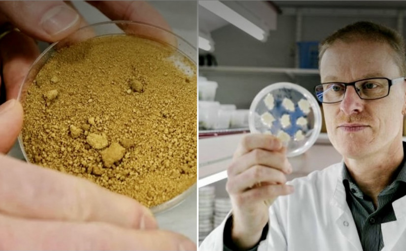 【科技生活】芬蘭實驗室炮製永續咖啡  培植肉原理免卻環保問題