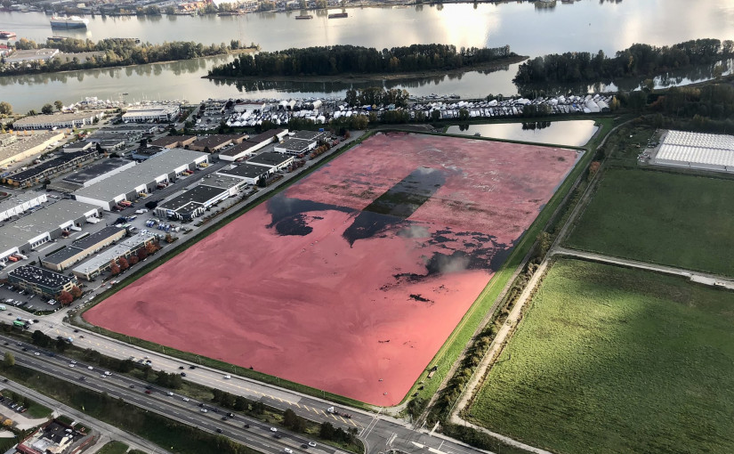 【視頻新聞】列市蔓越莓田水收盛景  司機公路減速欣賞