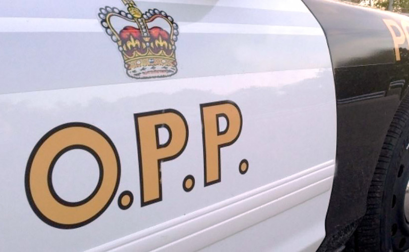 401公路2車碰撞司機下車交談 遭駛經汽車撞倒1人當場死亡