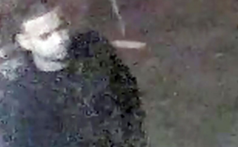 駕凌志房車男子市中心性侵23歲女子 警發圖籲公眾提供線索