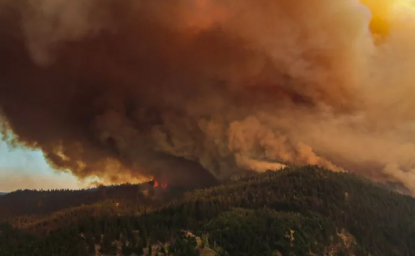 卑詩今年山火燒毀利頓和內陸數個地區 但並非有史以來最嚴重的山火季