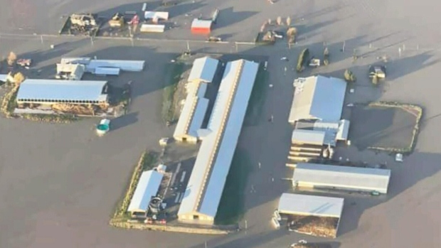 暴雨再度來襲 卑詩省彭伯頓及梅里特地區又發出疏散警報