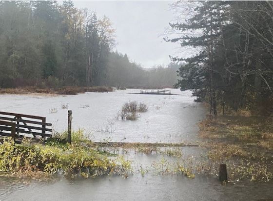 大溫都會局因嚴重積水 關閉數個公園