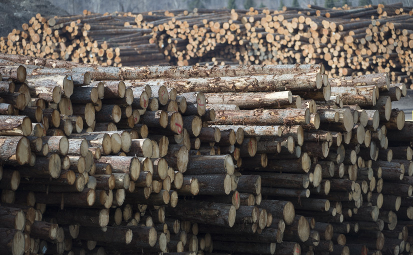 美國對本國軟木材增加關稅 聯邦與省政府及業界感失望