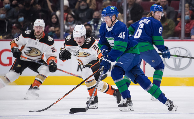 NHL加人隊主場加時不敵野鴨隊