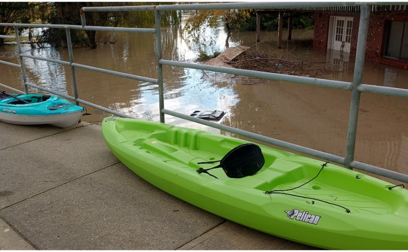 有人在洪水災區玩皮划艇 警方呼籲公眾遠離危險區域
