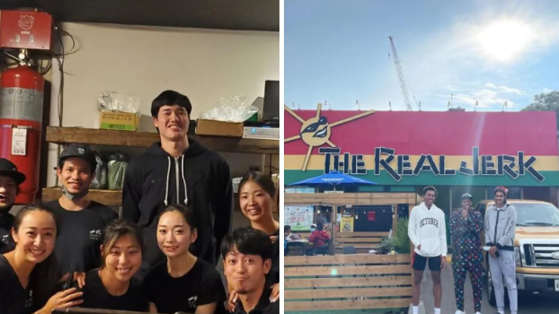 多倫多野生捕獲猛龍六大熱點