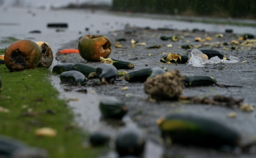 阿波斯福農場主憧憬家園重建