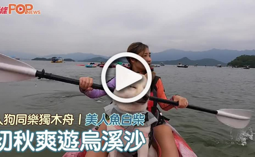 (視頻)人狗同樂獨木舟｜美人魚白柴   初秋爽遊烏溪沙