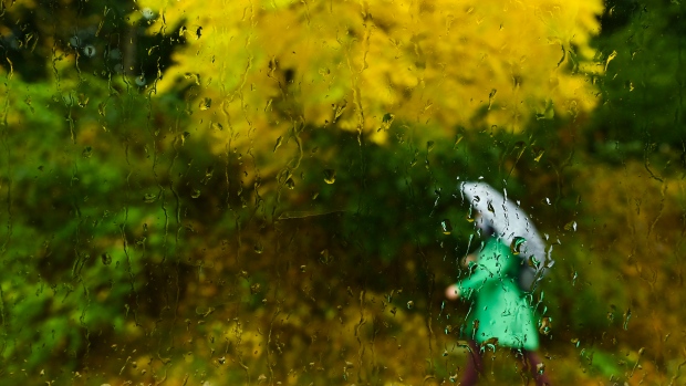 強風大雨周六來襲多倫多