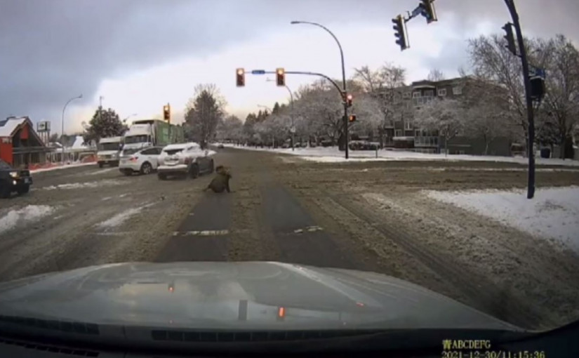 維多利亞發生一宗汽車撞倒行人後不顧而去事件