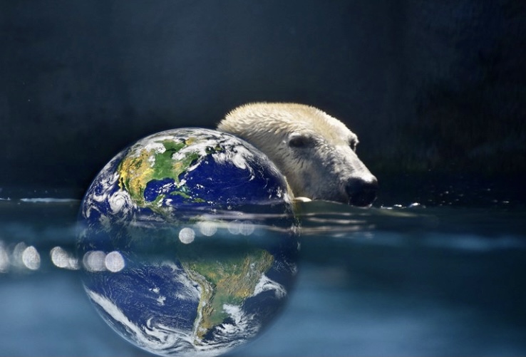 科技丨北極圈暖化速度變快  2070年或降雨取代降雪