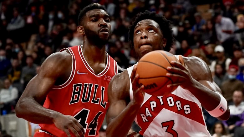 猛龍7將因新冠協議缺陣 今晚鬥公牛比賽被迫押後