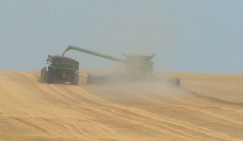 統計局：本國今年普遍農作物嚴重失收