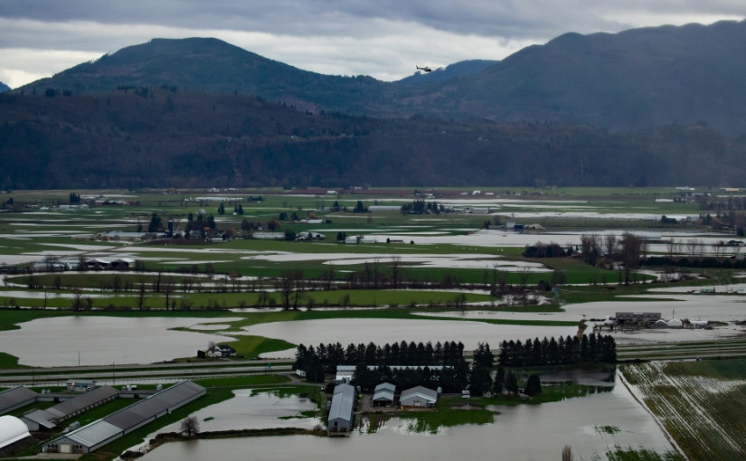 洪水損失嚴重 工作人員繼續搶修