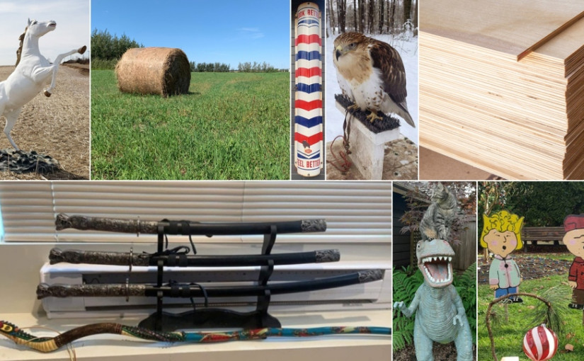 竊匪目標無奇不有   2021年意想不到贓物逐件數