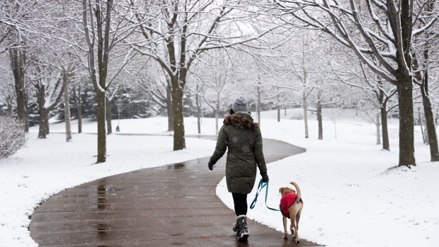 多倫多元旦下雪降溫 環境部發冬季旅行預警