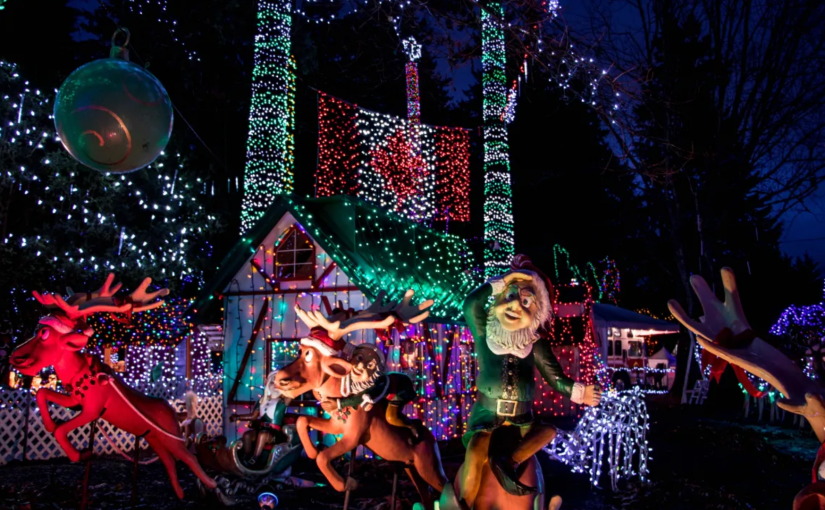 因電源設備被盜 史丹利公園燈飾活動被迫提前關閉