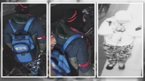 印度教寺廟遭爆竊 警方搜尋嫌犯