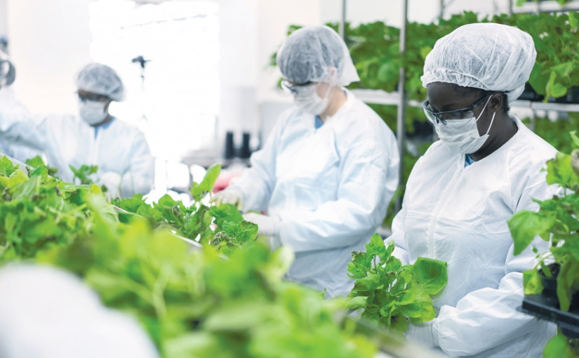 加國首隻本土研發的疫苗可提供18至64歲國民接種