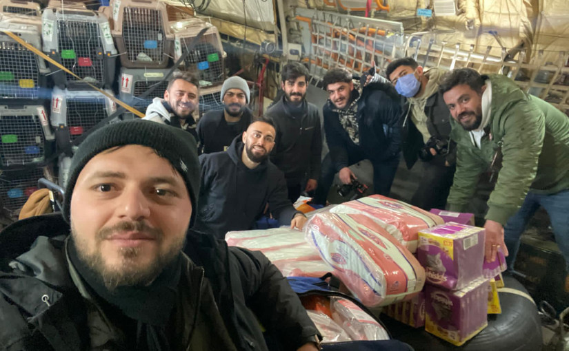 近300隻在阿富汗獲救的動物抵達溫哥華