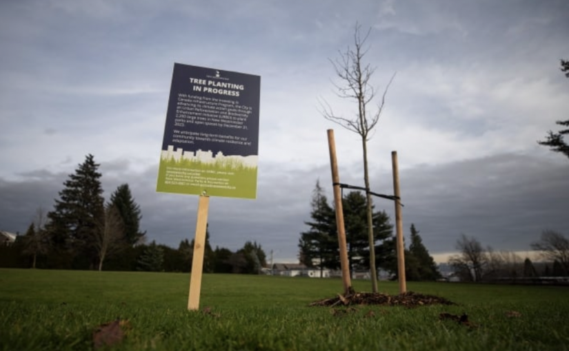 二埠獲贈5萬元 用於種植2.5萬棵樹