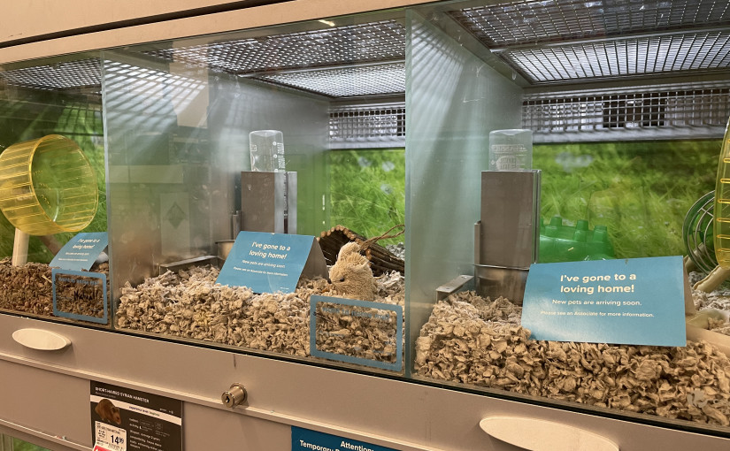 各省省長促請渥京增加醫療資助 以應對新冠帶來的衝擊