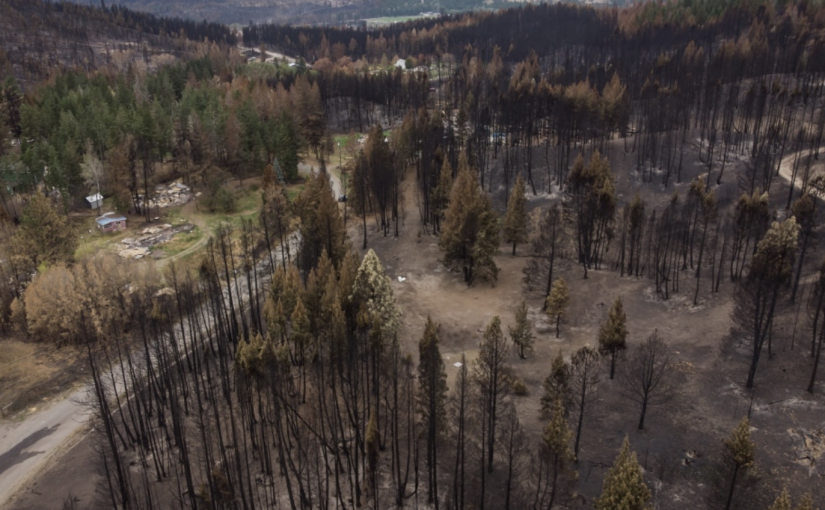 卑詩計劃撥款引入全年野火服務政策 專家意見不一