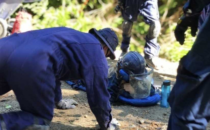 溫島反對砍伐古老森林抗議活動中被捕人士提出擱置訴訟請求