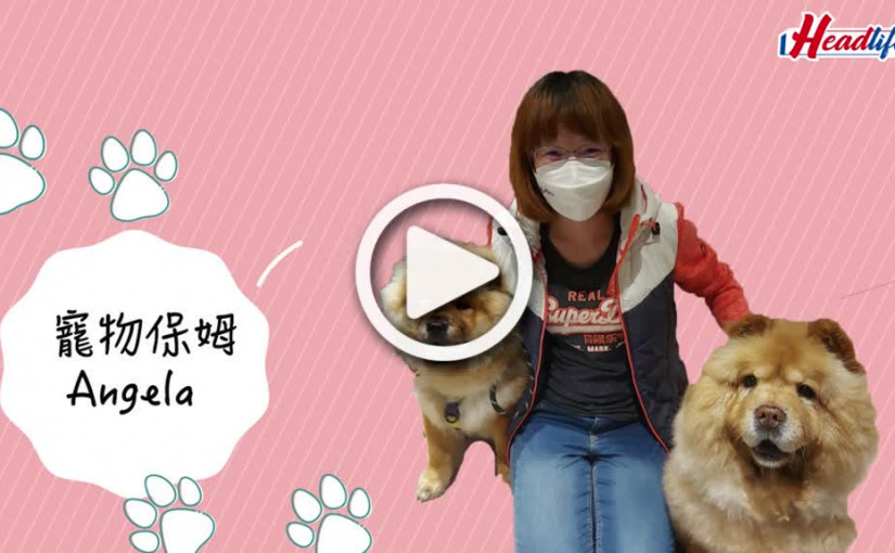 (視頻)善待動物｜疫情下的寵物保姆
