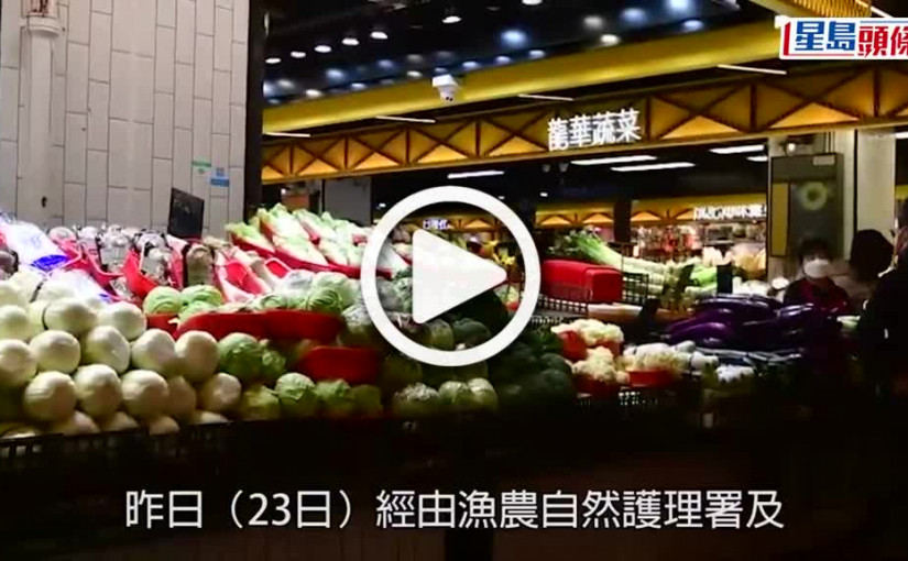 (視頻)疫情消息｜昨內地供港蔬菜689公噸 鮮活食品供應大致穩定