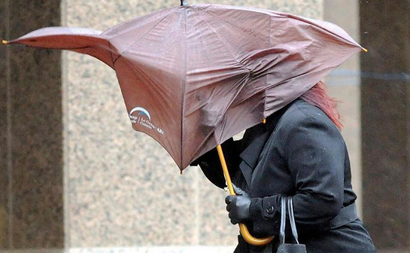 大多區發強風警報 料吹每小時90公里陣風