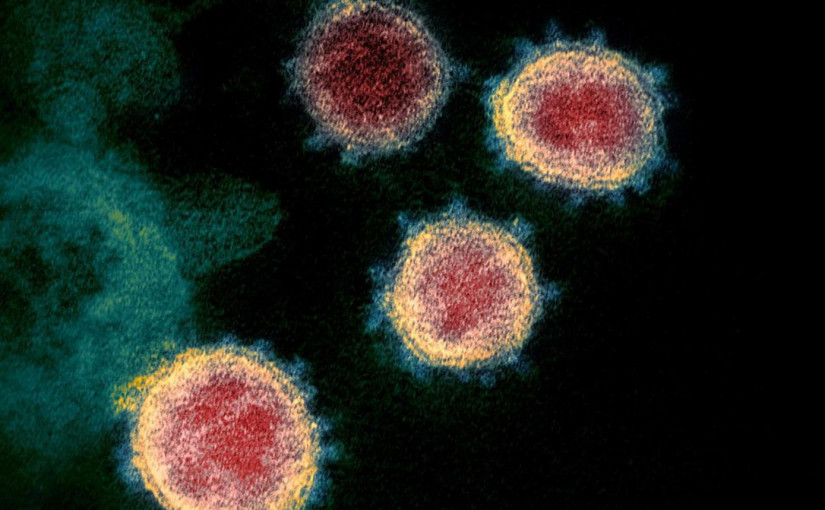 專家對疫情是否已過抱審慎樂觀態度