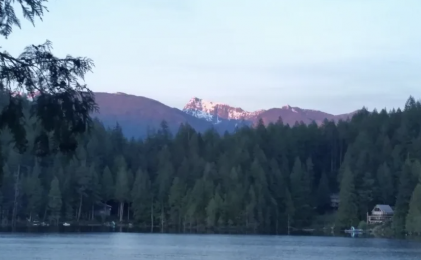 卑詩省租金漲幅限制在1.5%　但「皇室土地」不受限制