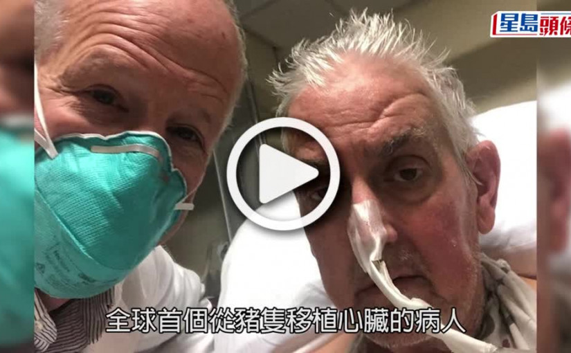 (視頻)豬心移植｜全球首例移植豬心漢逝世 術後2個月病情惡化