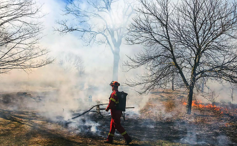 High Park將發生火警 屬故意造成