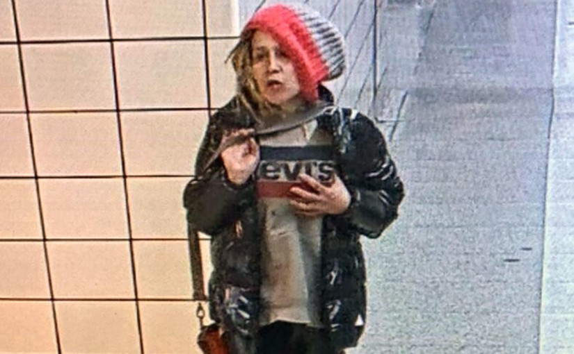 推人落地鐵車軌 警發圖追緝涉案女子