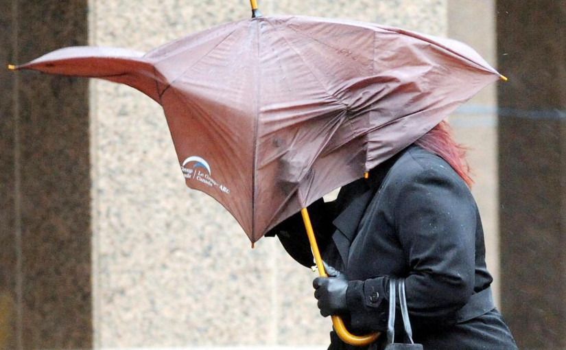 南安省發強風警報 每小時風速最高80公里