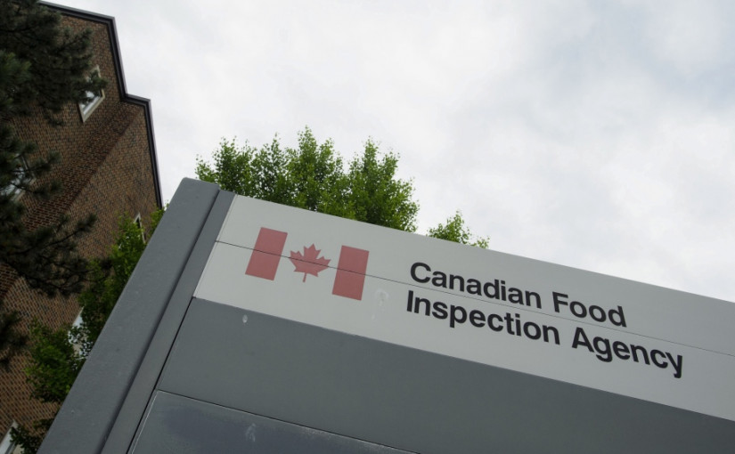 更多有機罌粟籽產品或遭沙門氏菌污染 需回收