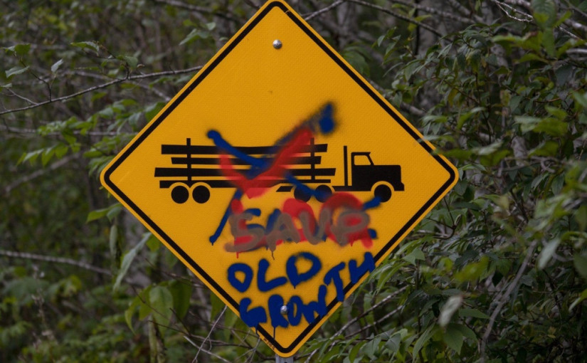 卑詩撥款林木廳1900萬元應對氣候變化