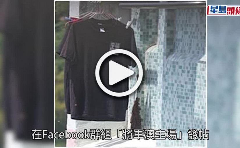 (視頻)群蜂突襲｜將軍澳單位窗外數百蜜蜂飛舞 疑蜂巢被拆搬新屋