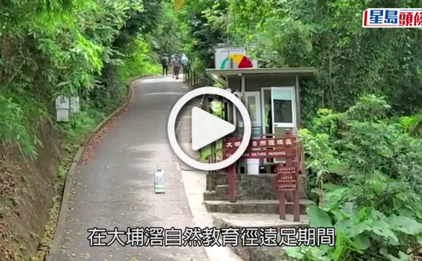 (視頻)遠足失足｜大埔滘8歲男童自4米高墮地  跌傷耳朵腳部